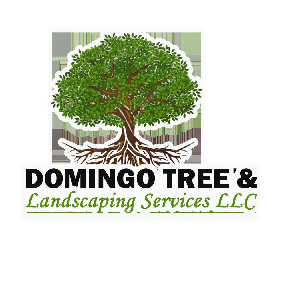 Custom yard maintenance for outdoor upgrades across Bealeton, VA - Domingo Tree & Landscaping Service