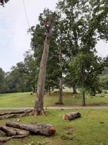 Trusted residential landscaping for homes in Bealeton, VA by Domingo Tree & Landscaping Service