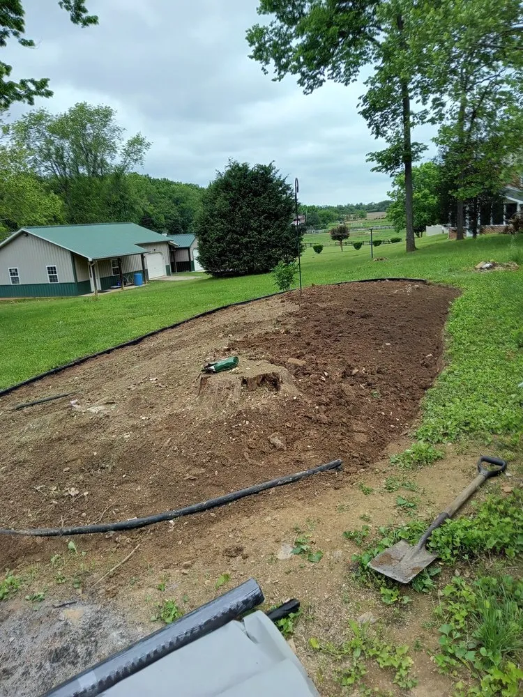 Professional yard maintenance for beautiful yards across Dillsburg, PA - Domingo tree service and landscaping