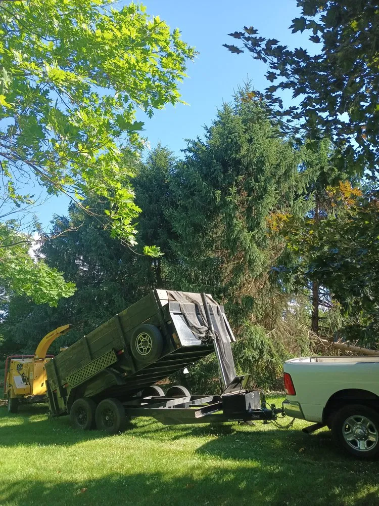 Top-rated yard maintenance for outdoor upgrades across Dillsburg, PA - Domingo tree service and landscaping