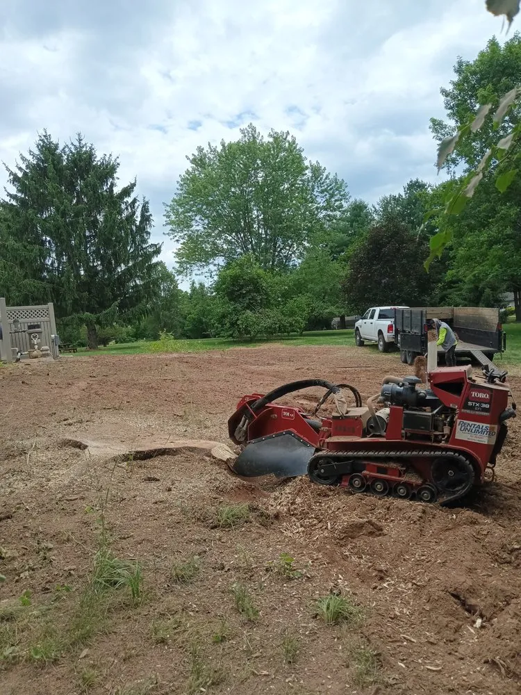 Top-rated outdoor landscaping experts serving Dillsburg, PA - Domingo tree service and landscaping