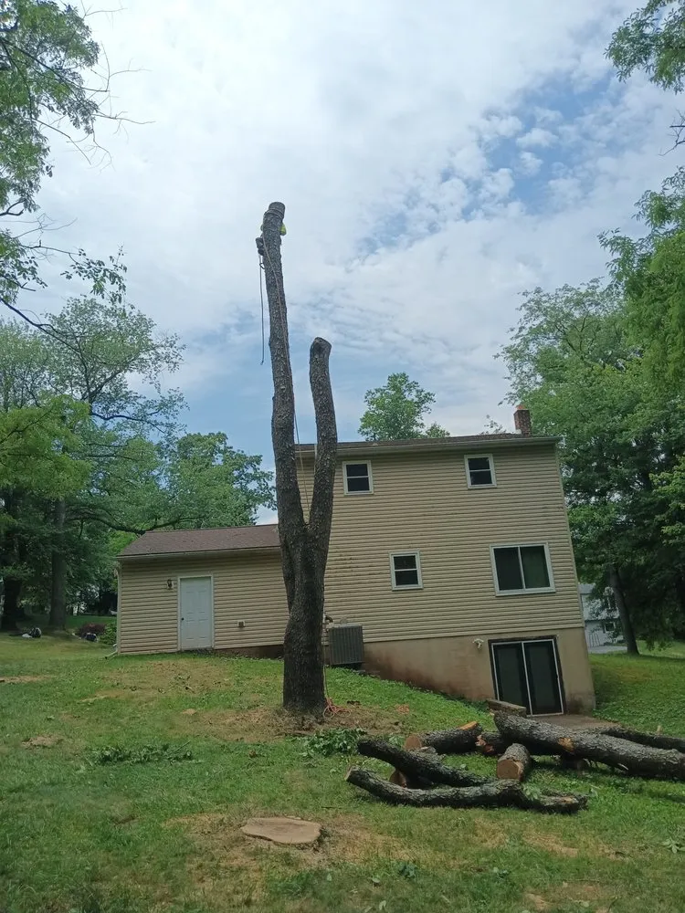 Reliable landscape design in Dillsburg, PA by Domingo tree service and landscaping