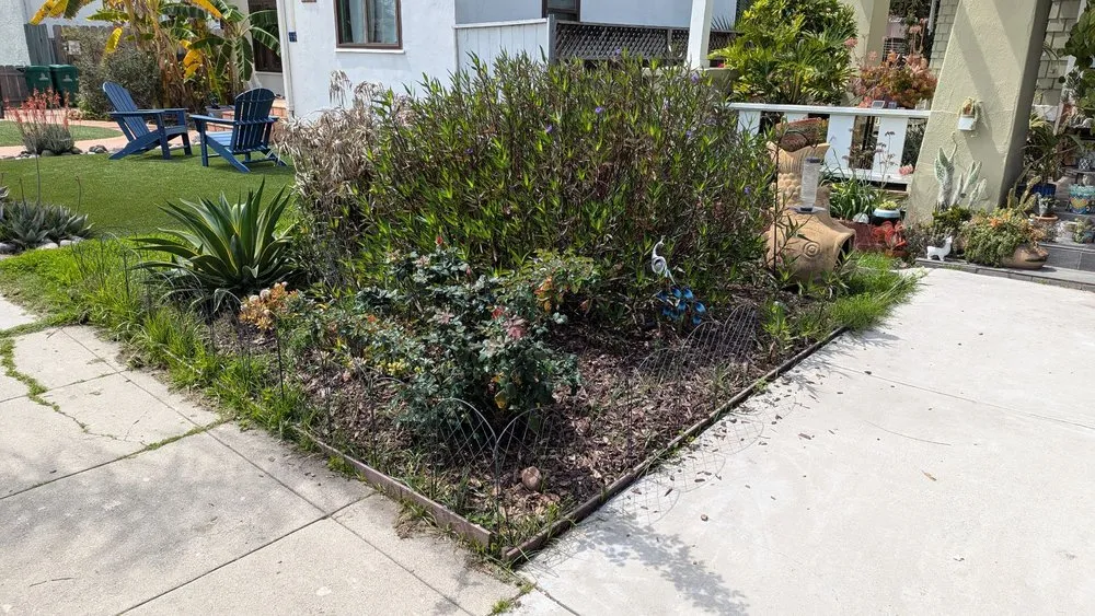 Local lawn care service for residential properties in San Diego, CA by Domingo's Landscaping