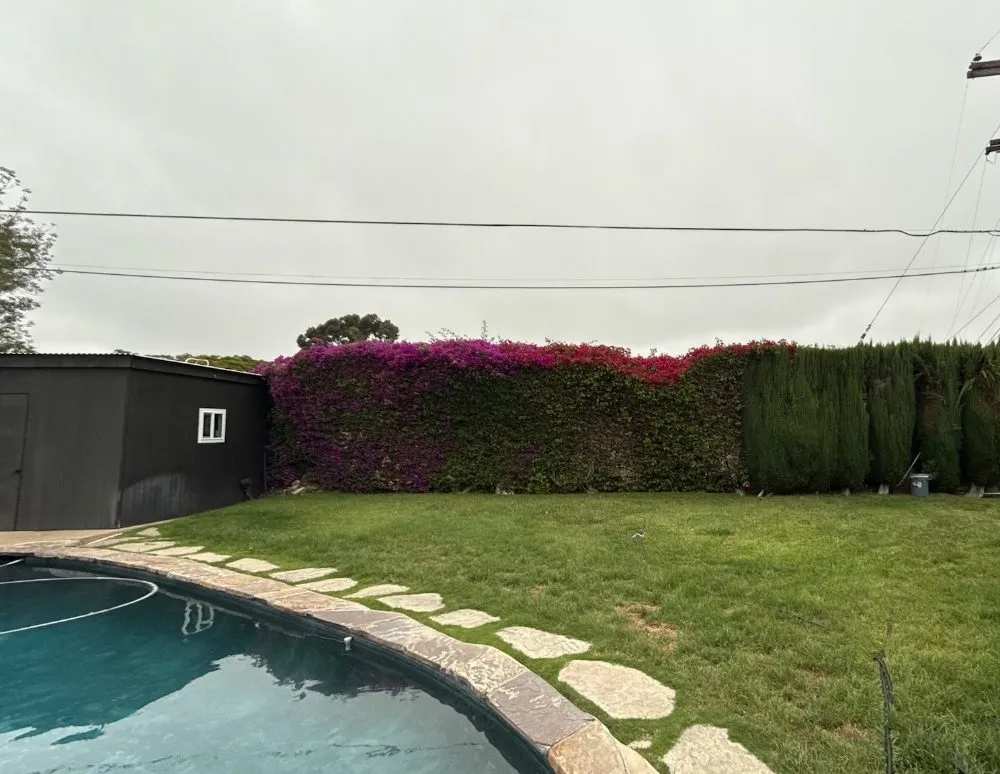 Top-rated outdoor landscaping in San Diego, CA - Domingo's Landscaping