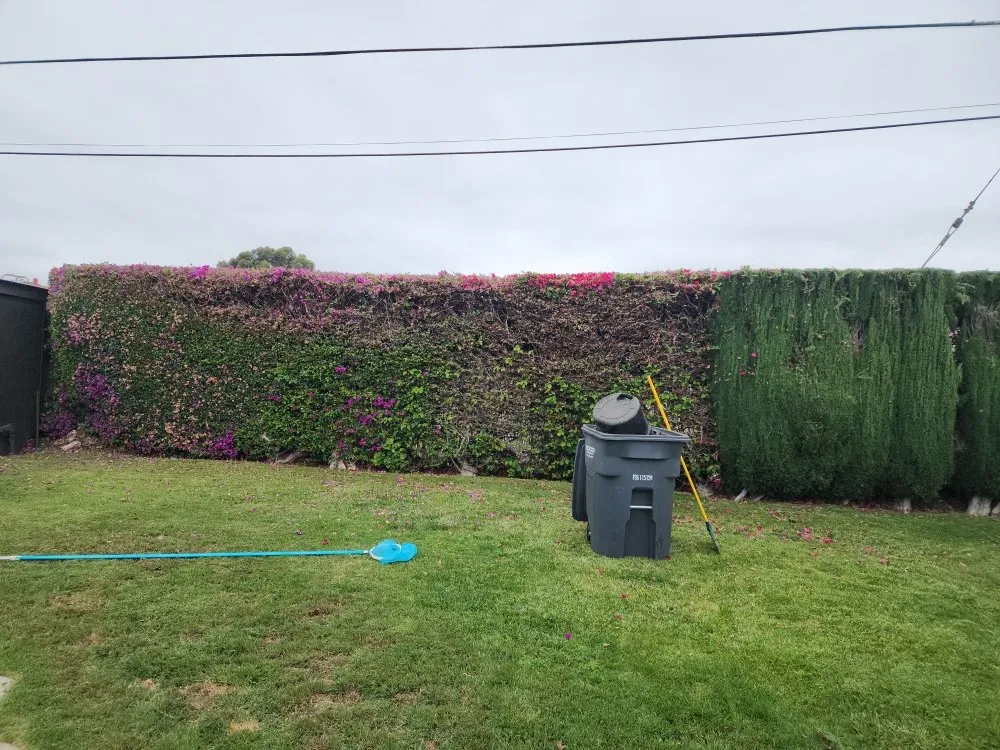 Local landscaping services in San Diego, CA - Domingo's Landscaping