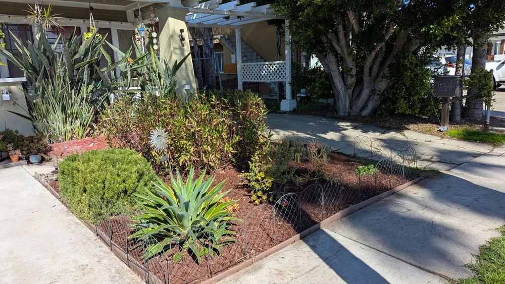Custom residential landscaping for residential properties in San Diego, CA by Domingo's Landscaping