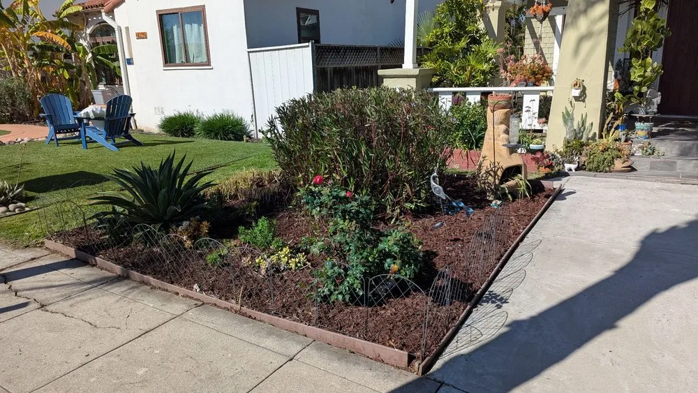Local yard maintenance for year-round maintenance in San Diego, CA by Domingo's Landscaping