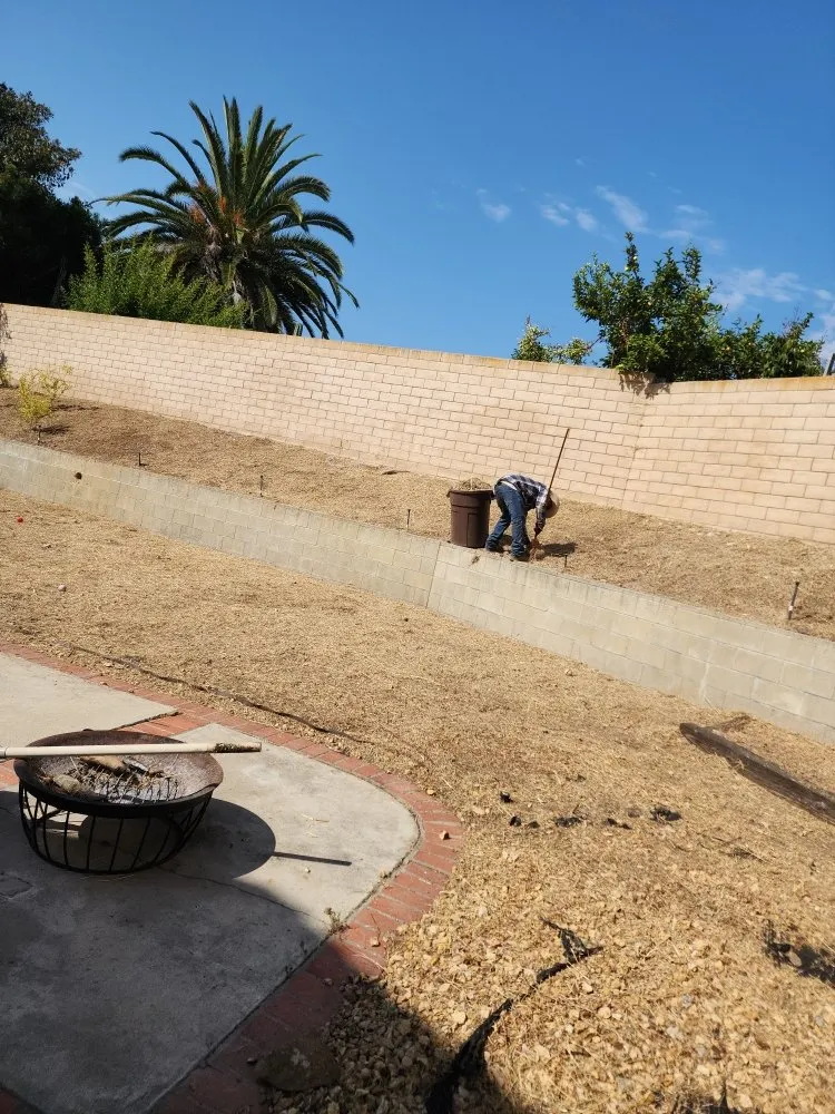 Affordable garden landscaping in San Diego, CA - Domingo's Landscaping