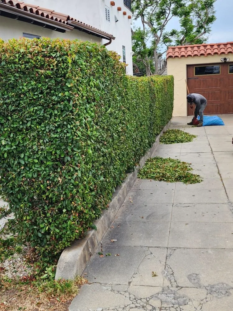 Reliable landscaping services for outdoor upgrades in San Diego, CA by Domingo's Landscaping