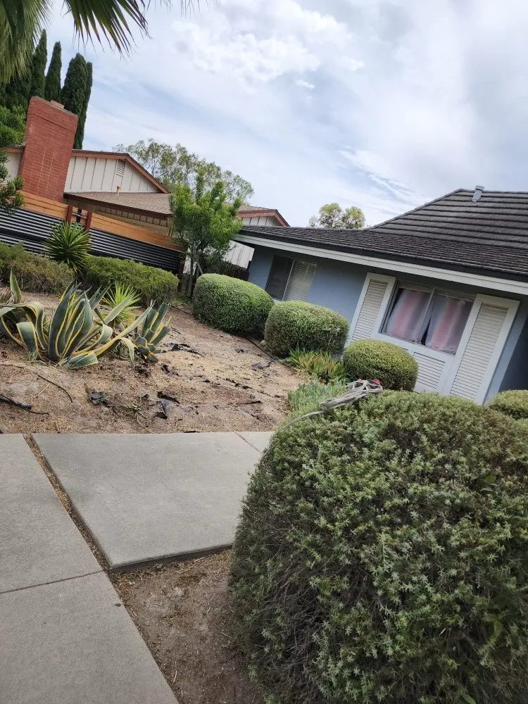 Expert outdoor landscaping in San Diego, CA by Domingo's Landscaping