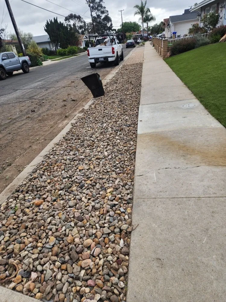 Local lawn care service experts serving San Diego, CA - Domingo's Landscaping