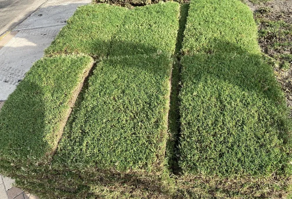 Local landscape installation for beautiful yards in Mission, TX by Dominguez Carpet Grass