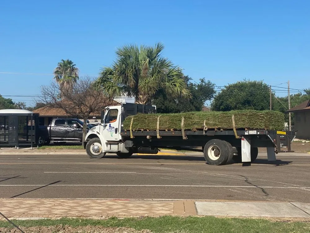 Affordable yard maintenance for residential properties across Mission, TX - Dominguez Carpet Grass