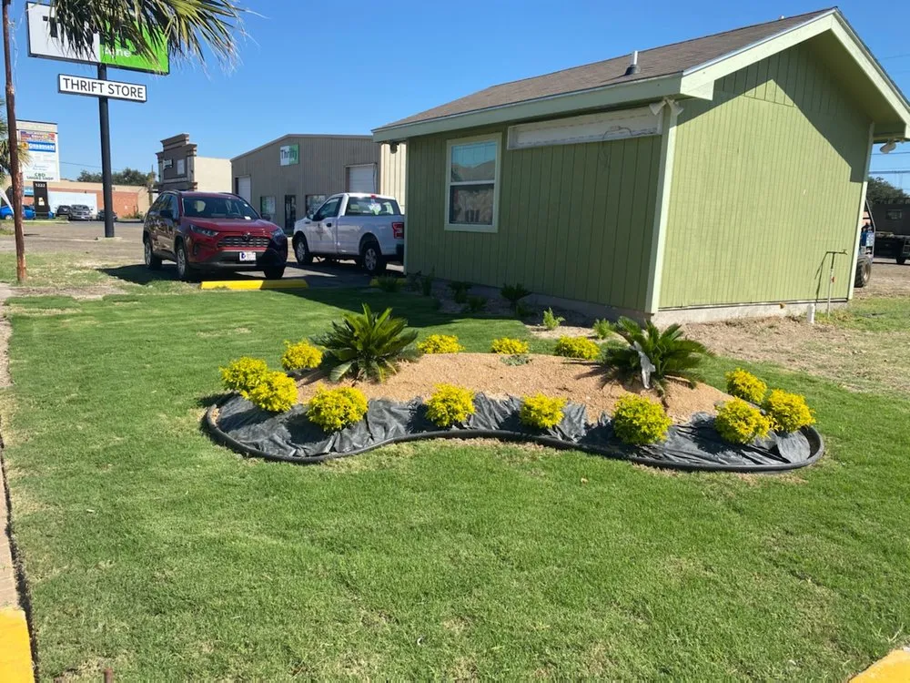 Reliable lawn mowing service in Mission, TX by Dominguez Carpet Grass