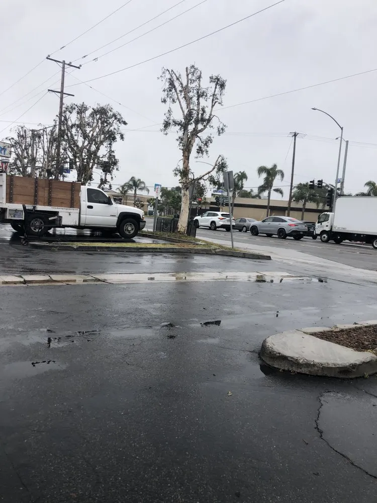 Top-rated residential landscaping in Costa Mesa, CA - Dominguez Gardening