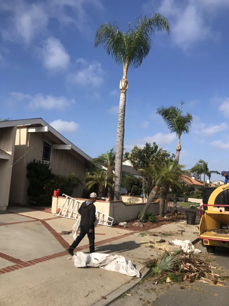 Affordable yard maintenance for outdoor upgrades across Costa Mesa, CA - Dominguez Gardening