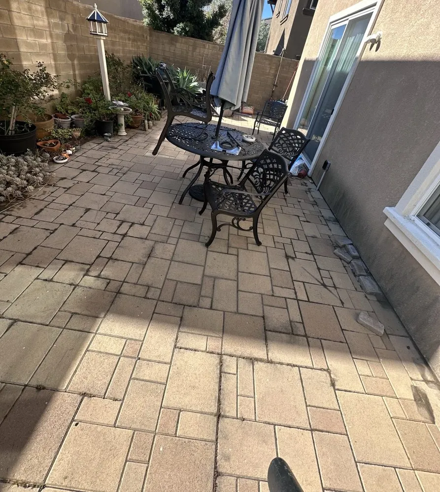 Top-rated yard maintenance in Costa Mesa, CA by Dominguez Gardening