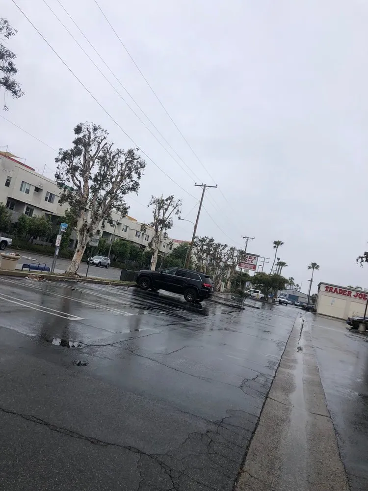 Affordable landscape installation for residential properties in Costa Mesa, CA by Dominguez Gardening