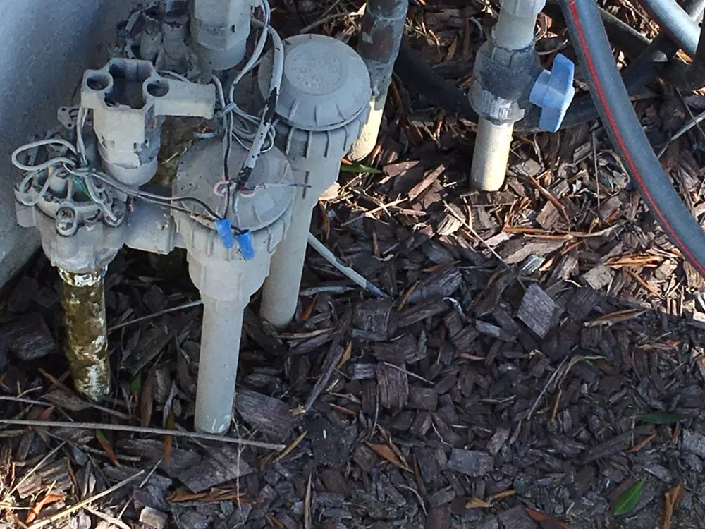 Expert yard cleanup service for residential properties in Costa Mesa, CA by Dominguez Gardening