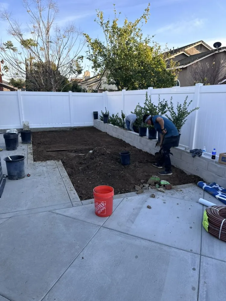 Local landscape design experts serving Costa Mesa, CA - Dominguez Gardening