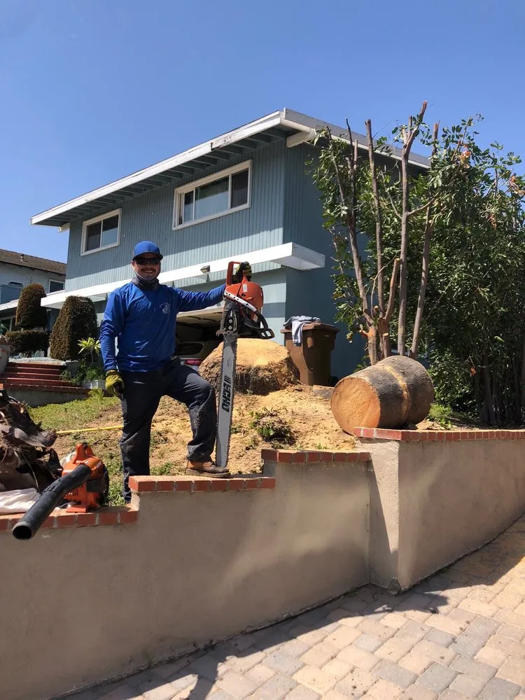 Affordable landscaping services in Costa Mesa, CA by Dominguez Gardening