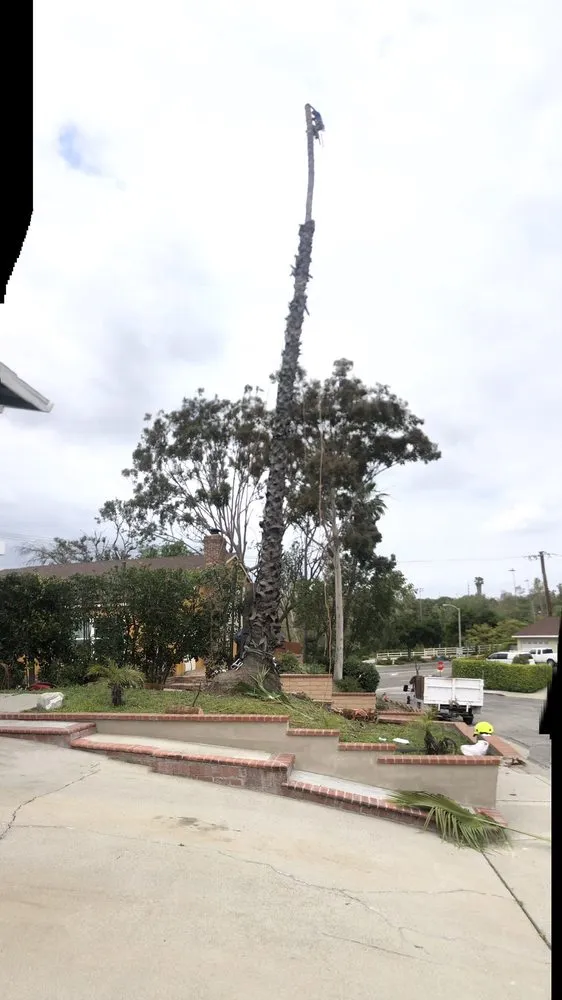 Trusted lawn mowing service experts serving Costa Mesa, CA - Dominguez Gardening