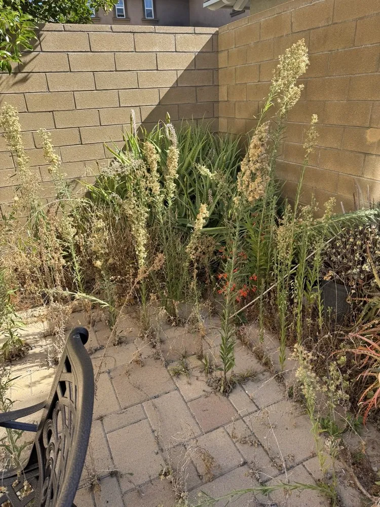 Affordable residential landscaping for beautiful yards in Costa Mesa, CA by Dominguez Gardening