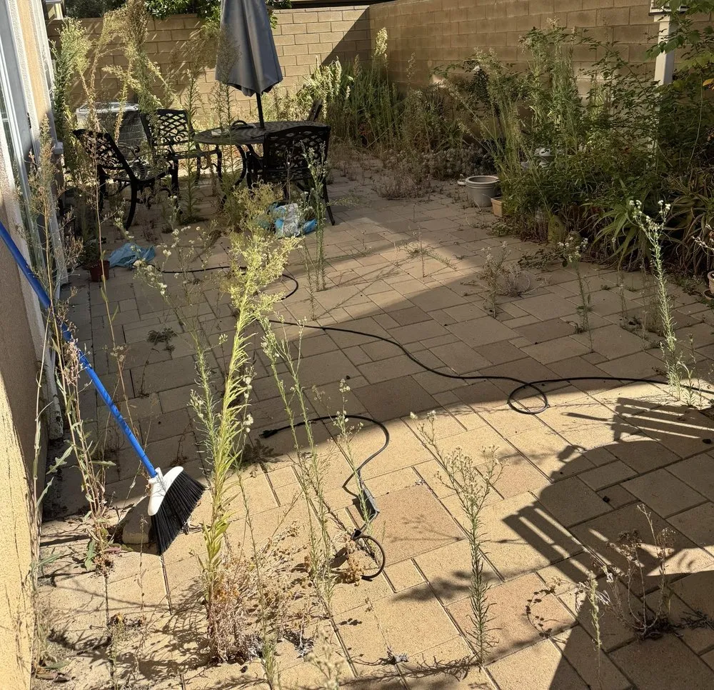 Reliable residential landscaping in Costa Mesa, CA - Dominguez Gardening