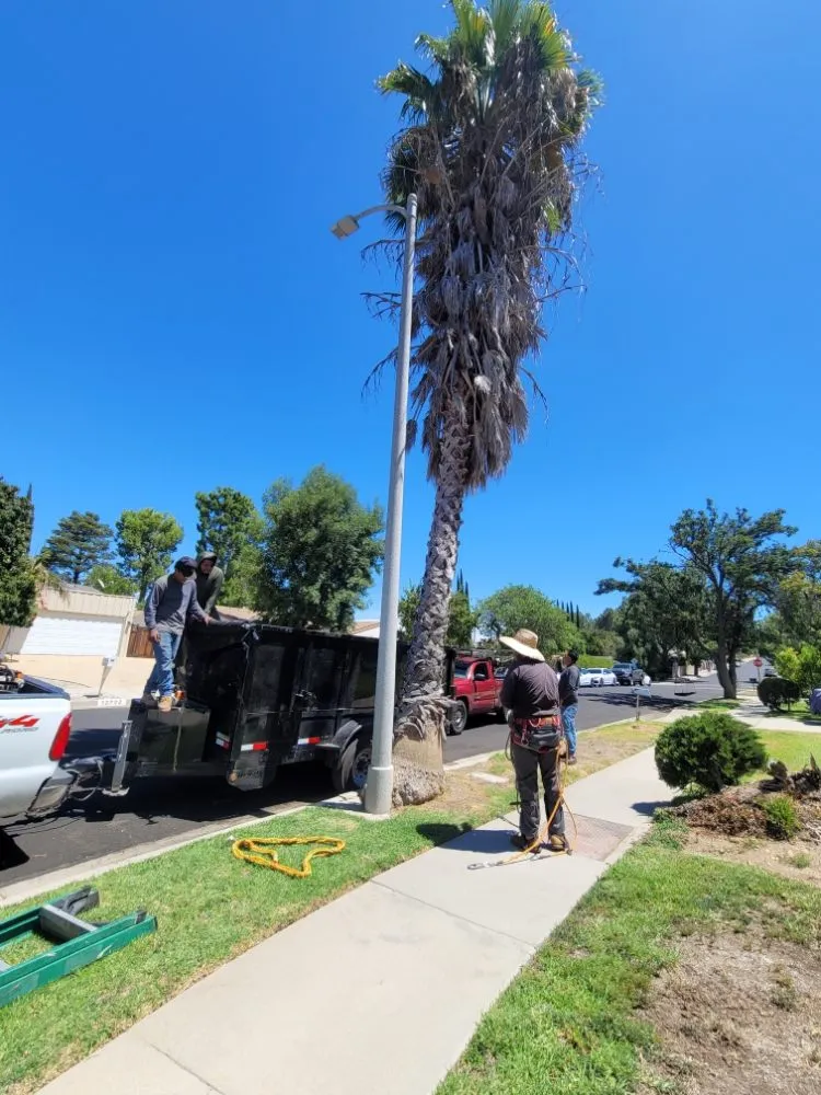 Local garden landscaping in Panorama City, CA by Dominguez Gardening Maintenance