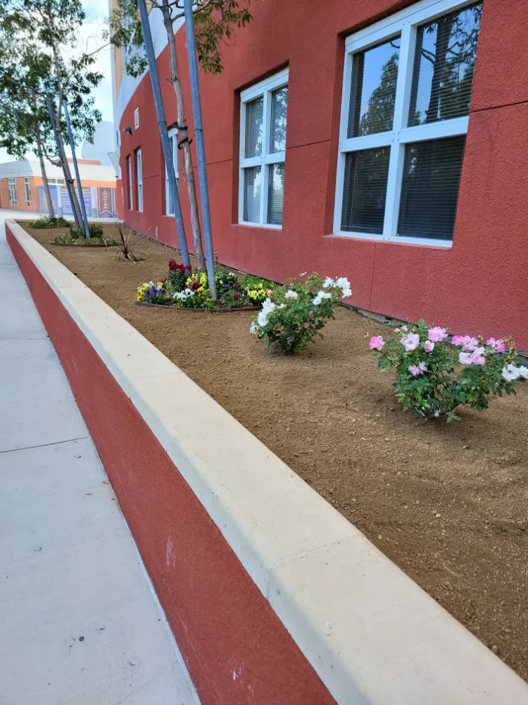 Top-rated residential landscaping in Panorama City, CA by Dominguez Gardening Maintenance