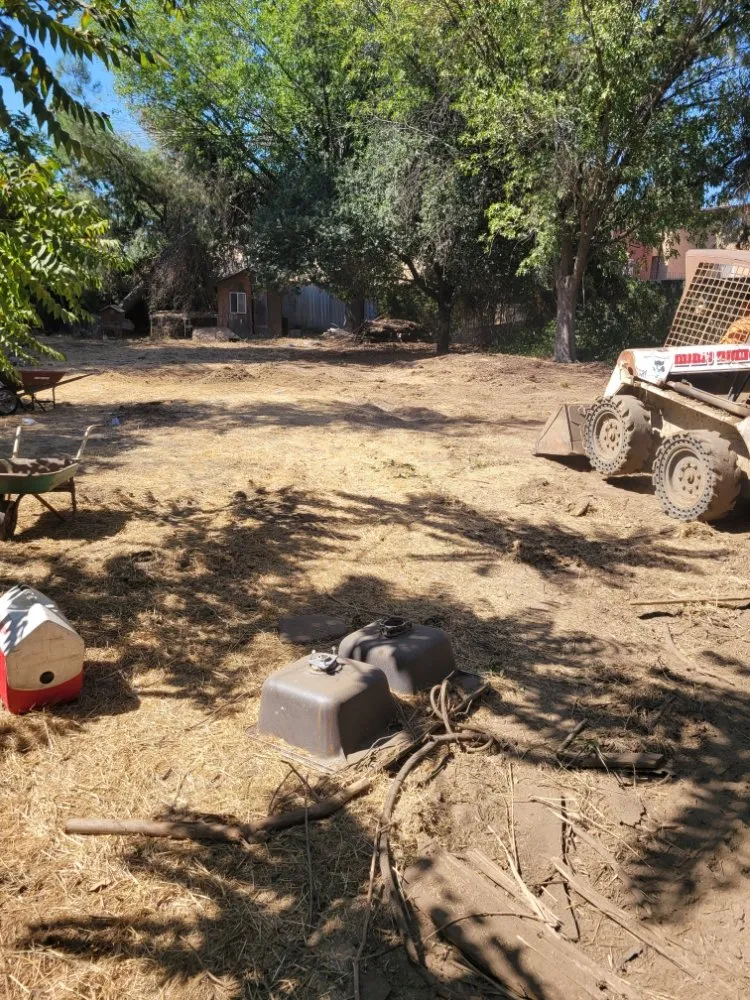 Top-rated yard cleanup service in Panorama City, CA - Dominguez Gardening Maintenance
