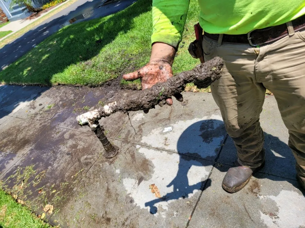 Professional landscape installation for residential properties across Panorama City, CA - Dominguez Gardening Maintenance
