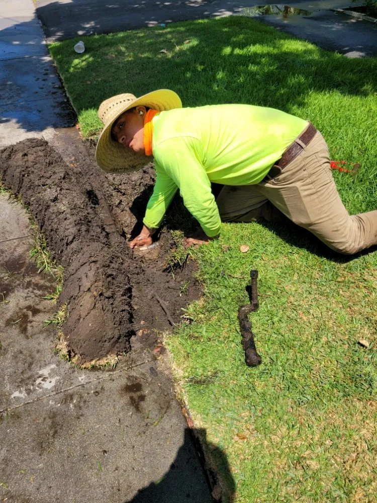 Custom yard maintenance for beautiful yards in Panorama City, CA by Dominguez Gardening Maintenance