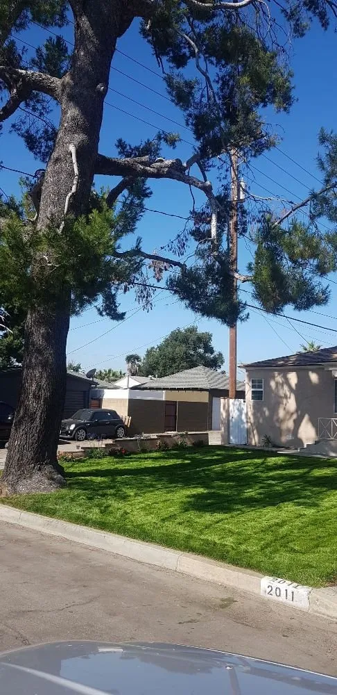 Trusted landscaping services in Panorama City, CA by Dominguez Gardening Maintenance