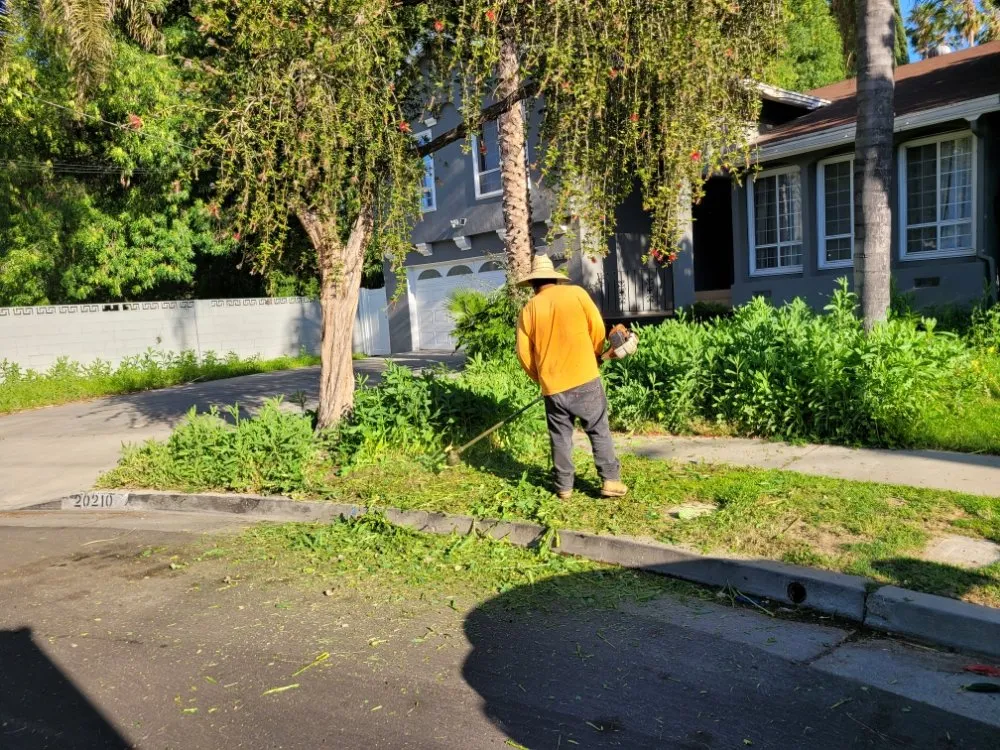 Local landscape installation in Panorama City, CA - Dominguez Gardening Maintenance