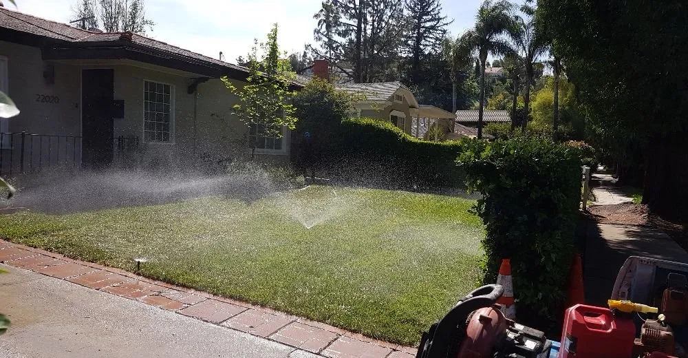 Trusted lawn mowing service in Panorama City, CA by Dominguez Gardening Maintenance