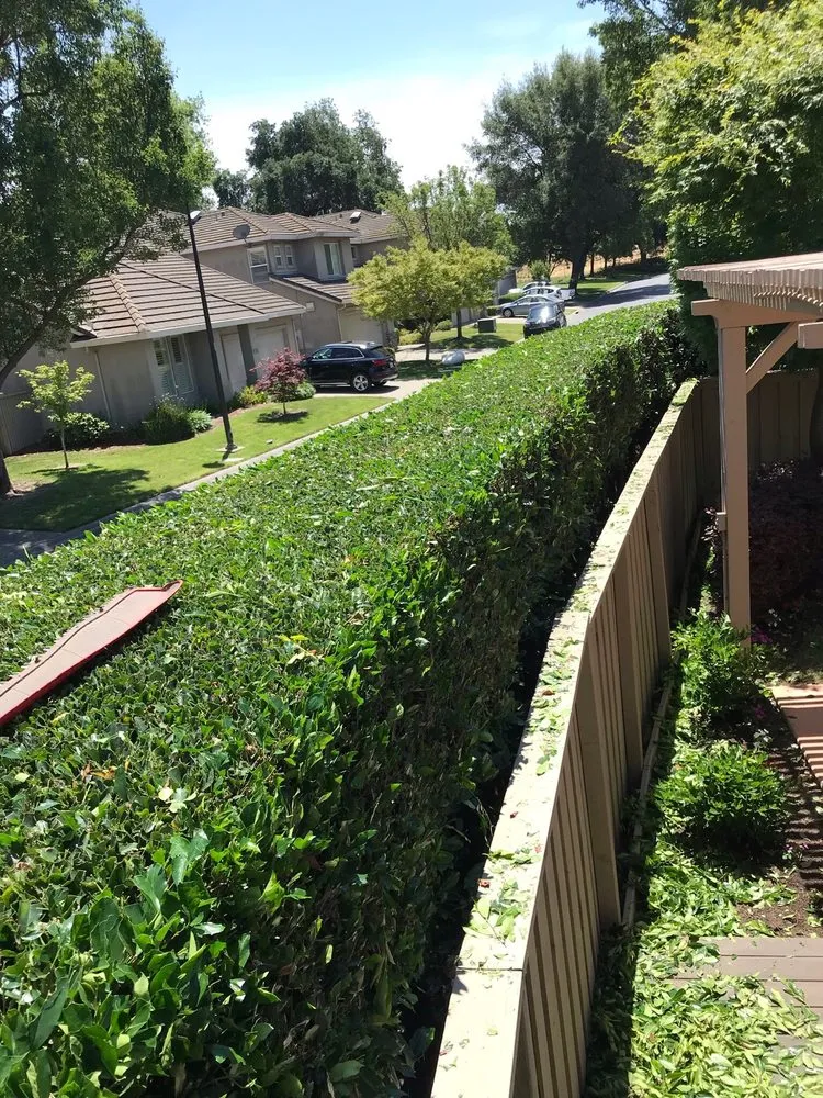 Reliable landscape installation near you across Sacramento, CA - Dominguez Landscape Service