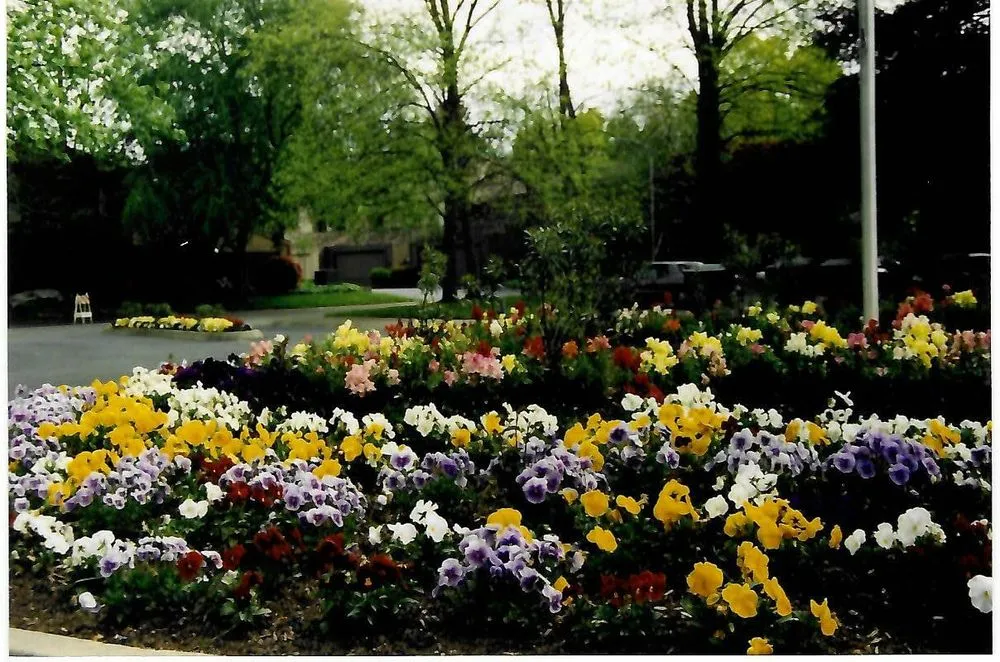 Custom lawn mowing service in Sacramento, CA by Dominguez Landscape Service