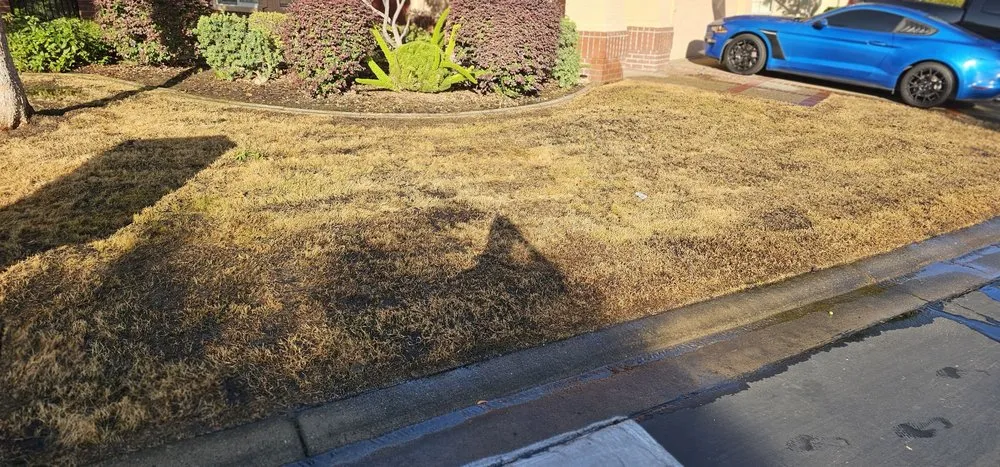 Local lawn mowing service for outdoor upgrades across Sacramento, CA - Dominguez Landscape Service
