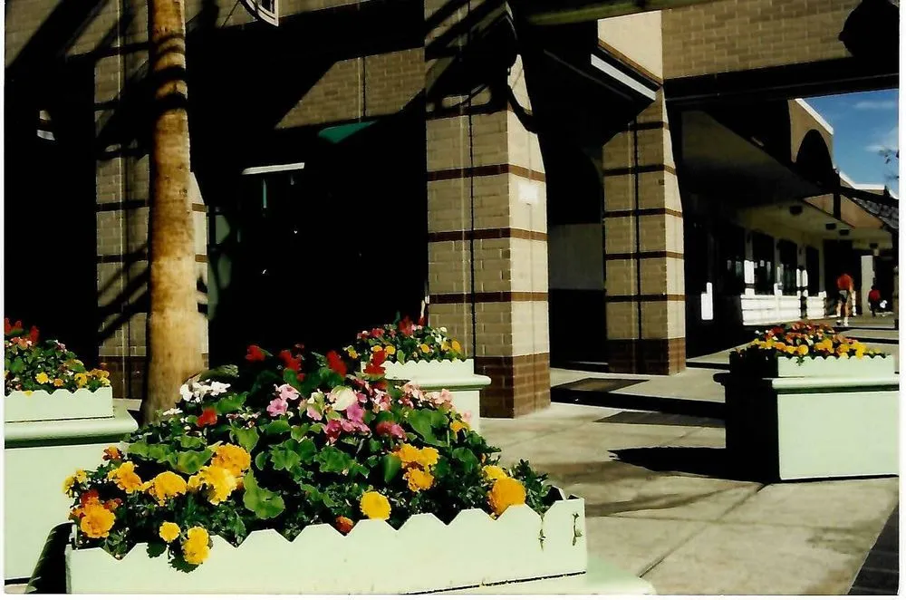 Reliable landscape installation experts serving Sacramento, CA - Dominguez Landscape Service