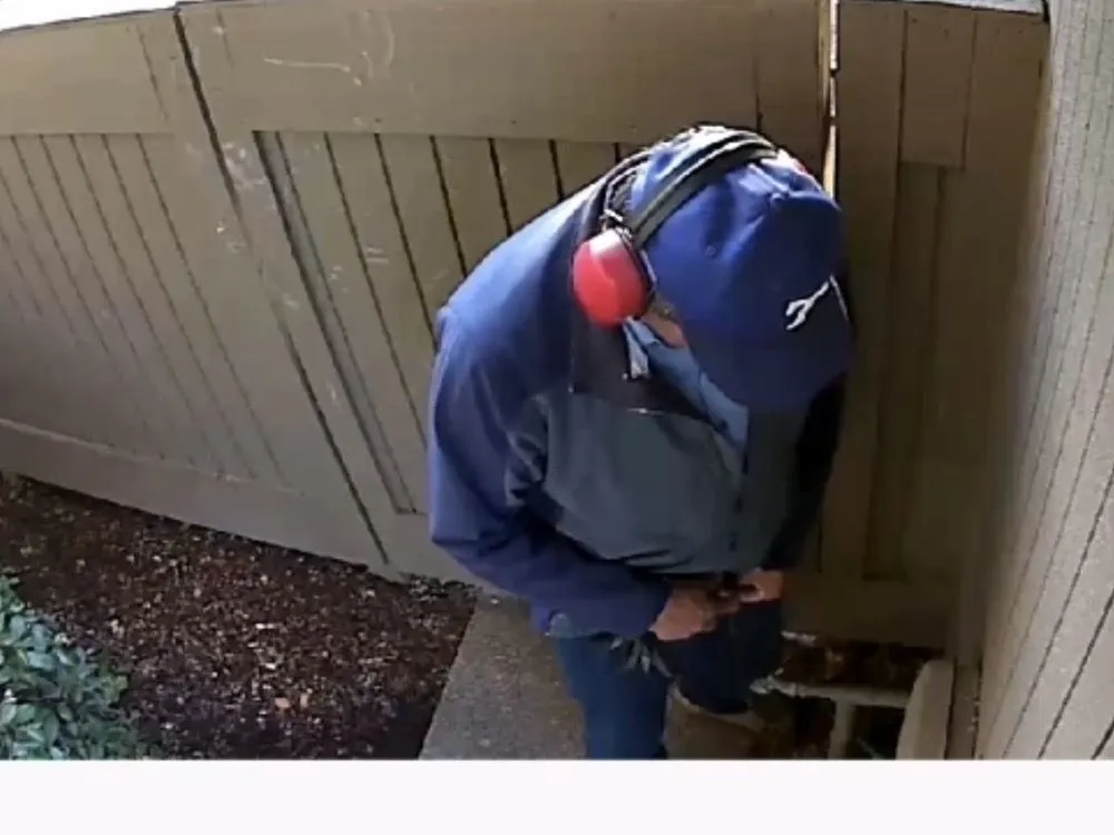 Local landscape design in Sacramento, CA by Dominguez Landscape Service