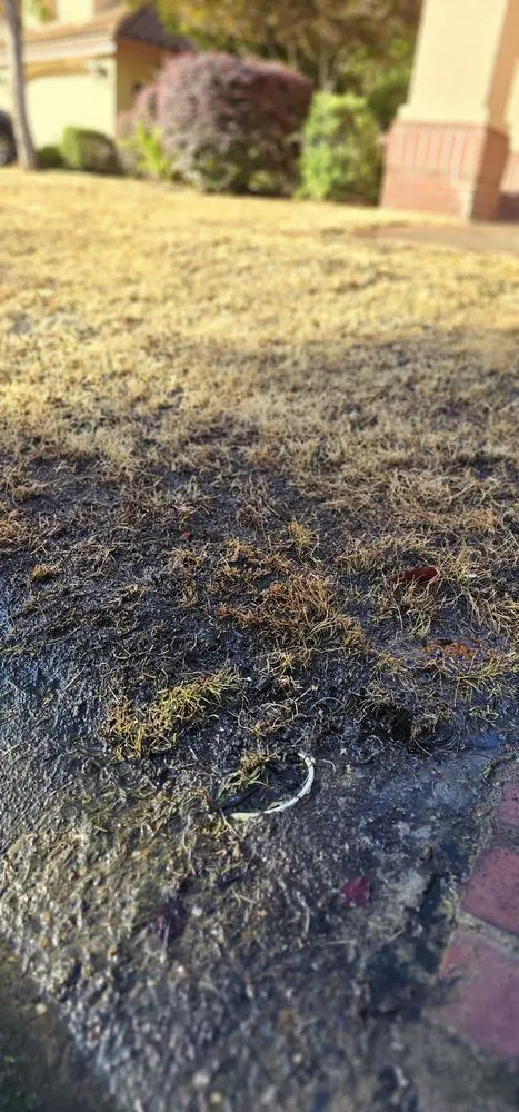 Reliable yard cleanup service for outdoor upgrades in Sacramento, CA by Dominguez Landscape Service