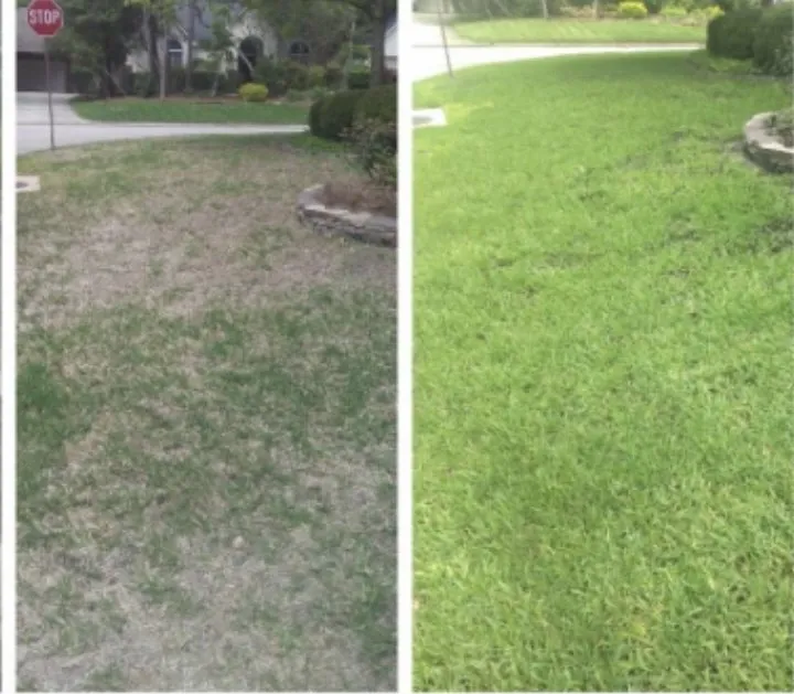 Professional landscaping services in East Point, GA by Dominguez Landscape Solutions