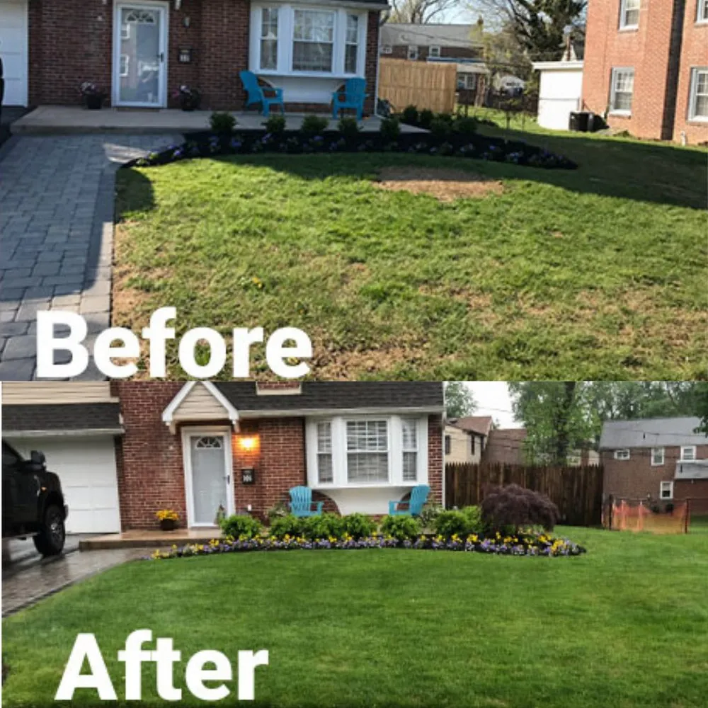 Reliable yard cleanup service in East Point, GA - Dominguez Landscape Solutions
