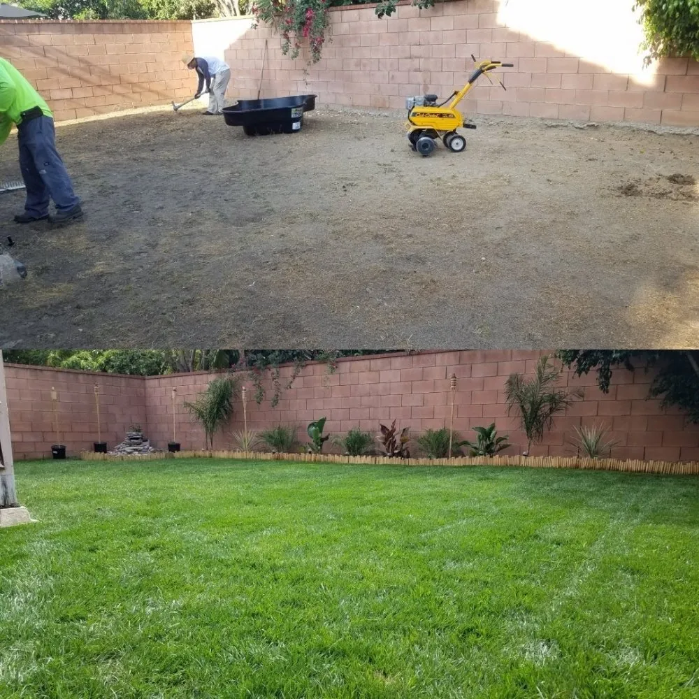Local yard cleanup service with custom design across Apple Valley, CA - Dominguez Landscaping