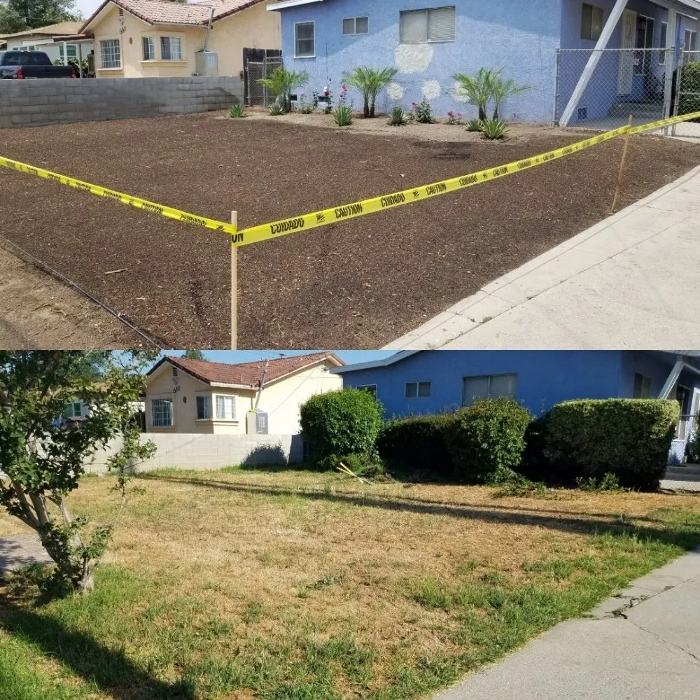 Affordable outdoor landscaping for outdoor upgrades in Apple Valley, CA by Dominguez Landscaping