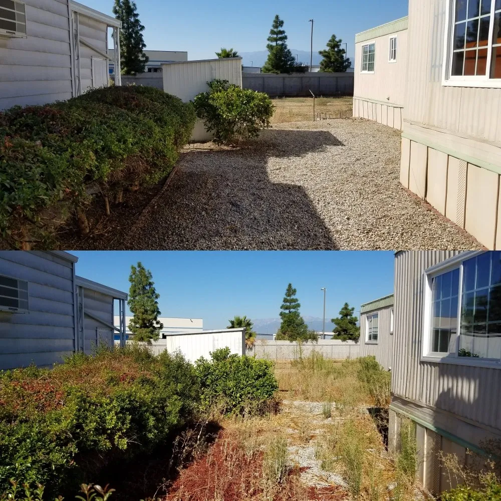 Expert residential landscaping with custom design in Apple Valley, CA by Dominguez Landscaping