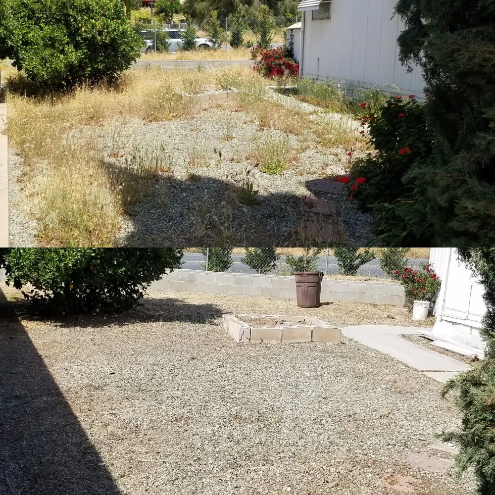 Top-rated landscaping services for year-round maintenance across Apple Valley, CA - Dominguez Landscaping