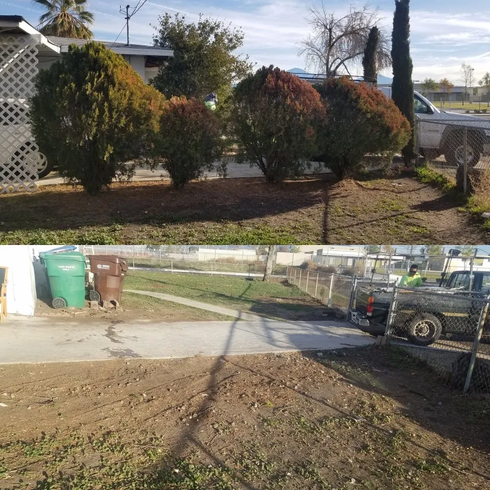 Top-rated lawn care service near you across Apple Valley, CA - Dominguez Landscaping