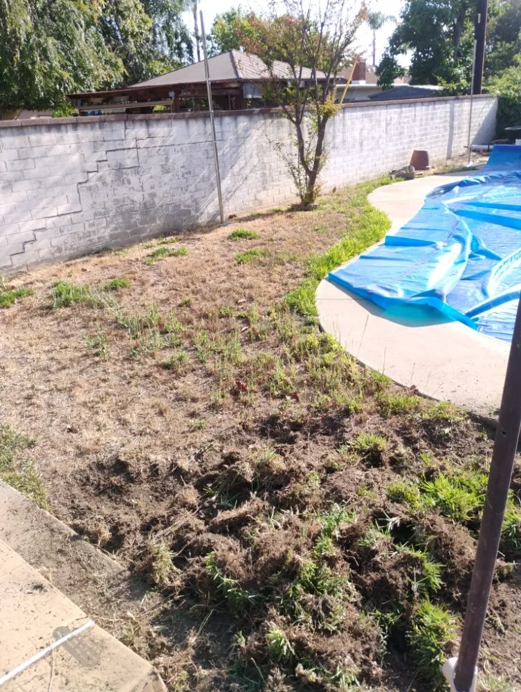 Reliable outdoor landscaping near you in Fontana, CA by Dominguez Landscaping